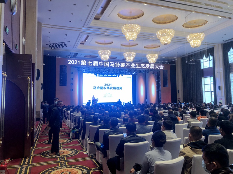 石原金牛特肥公司產品獲&ldquo;馬鈴薯作物明星產品&rdquo;稱號