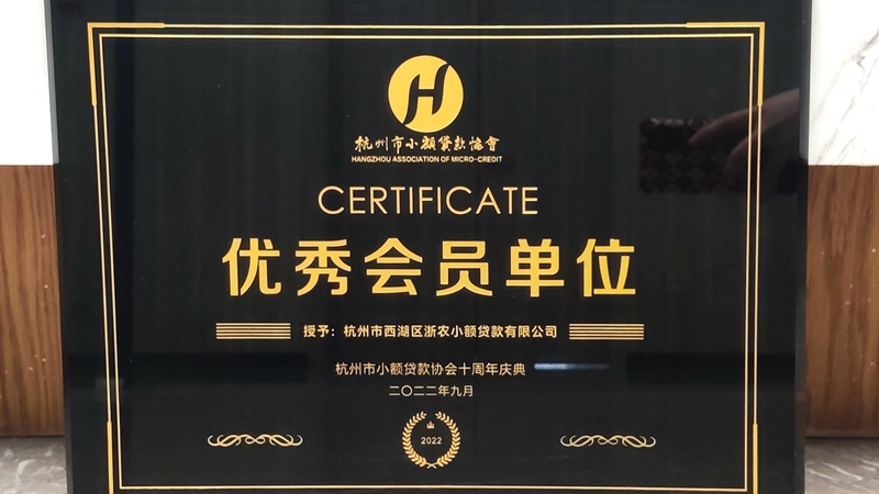 西湖小貸榮獲杭州市小貸協(xié)會 &ldquo;優(yōu)秀會員單位&rdquo;稱號