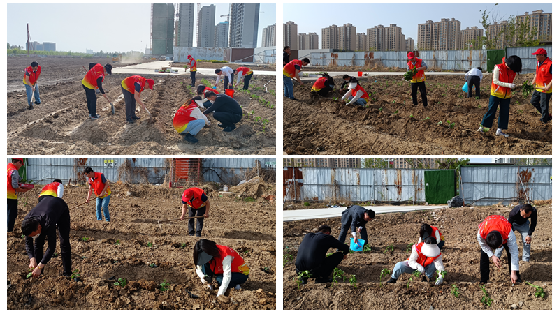 濟寧華都黨員公益服務(wù)隊開展&ldquo;植蔬助困&rdquo;公益活動